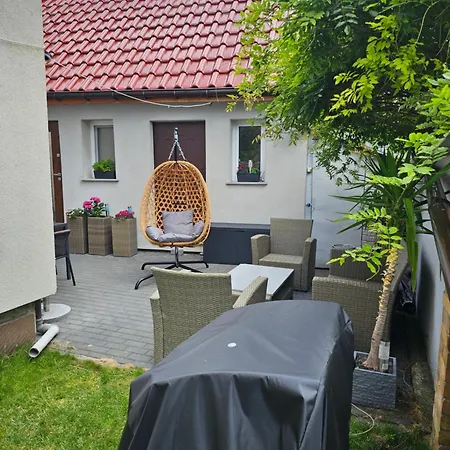 Delfin Dziwnów
