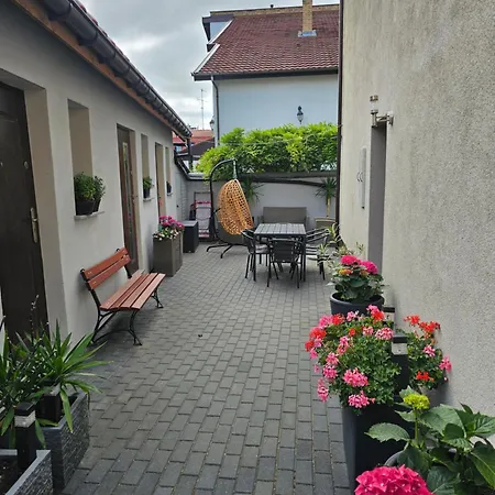 Delfin بيت ضيافة Dziwnów